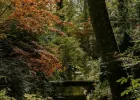 Les Coloris d'Automne à l'Arboretum d'Ilex