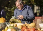 Fête de la Citrouille