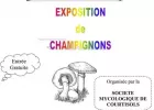 Exposition de Champignons