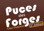 Puces des Forges