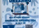 Vide-Dressing à Mésanger