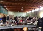 18 Ème Bourse Collection de Ris-Orangis