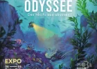 Exposition : Odyssée, des Récifs Aux Abysses