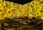 Van Gogh : The Immersive Experience